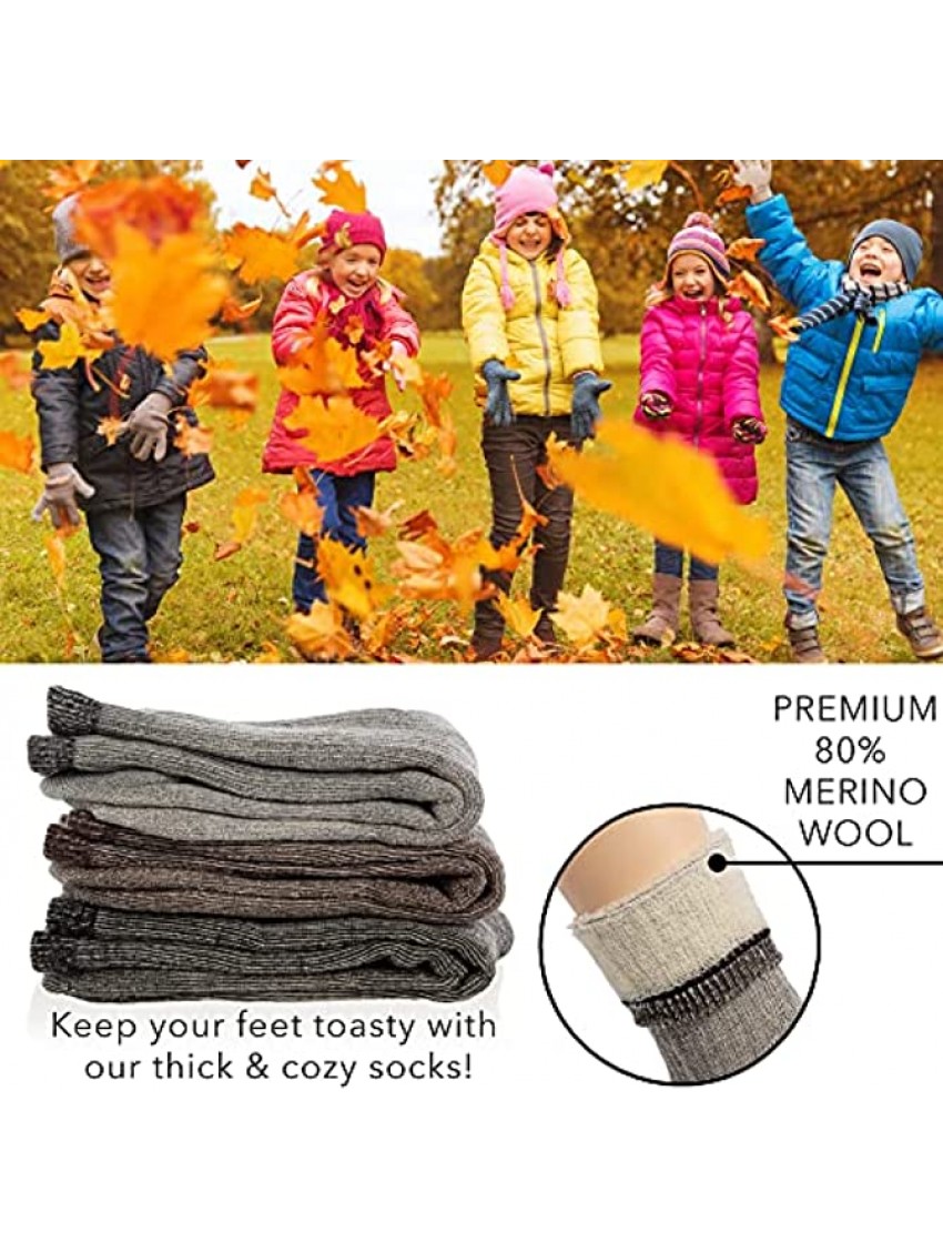DG Hill 3 Pairs 80% Merino Wool Socks for Men and Women Warm Thermal Wool Socks For Hiking Crew Style Moisture Wicking